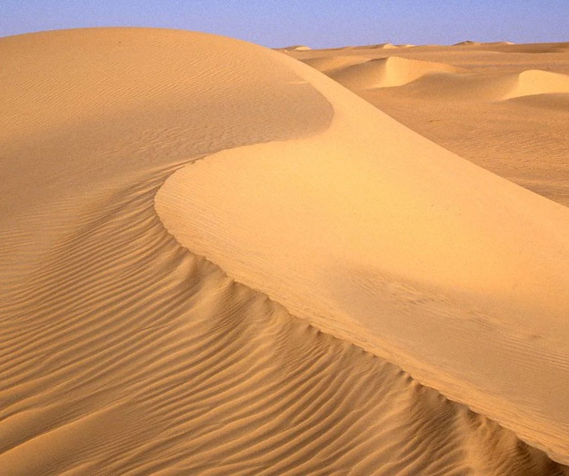 Réserves Naturelles De L’Aïr Et Du Ténéré