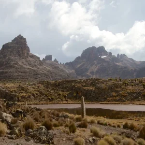 1200x630px-Mount_Kenya_National_Park_1