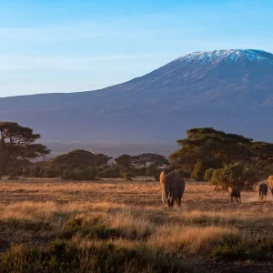 1314x680px-Mount_Kenya_26