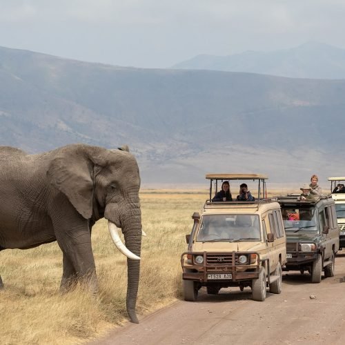 Zone De Conservation De Ngorongoro