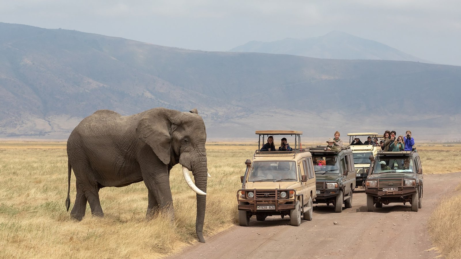 Zone De Conservation De Ngorongoro