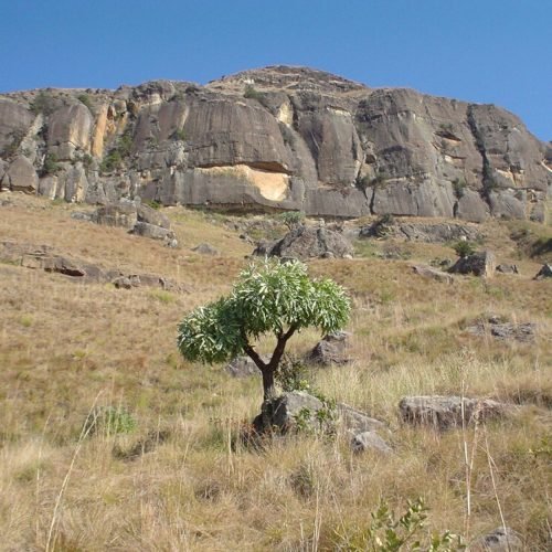 Parc Maloti-Drakensberg