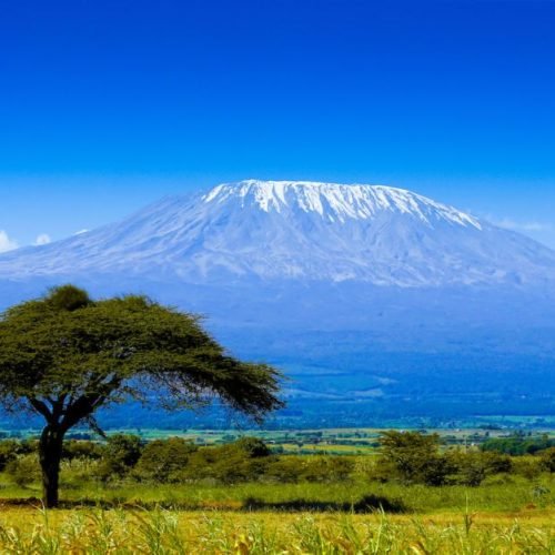 Parc National Du Kilimandjaro