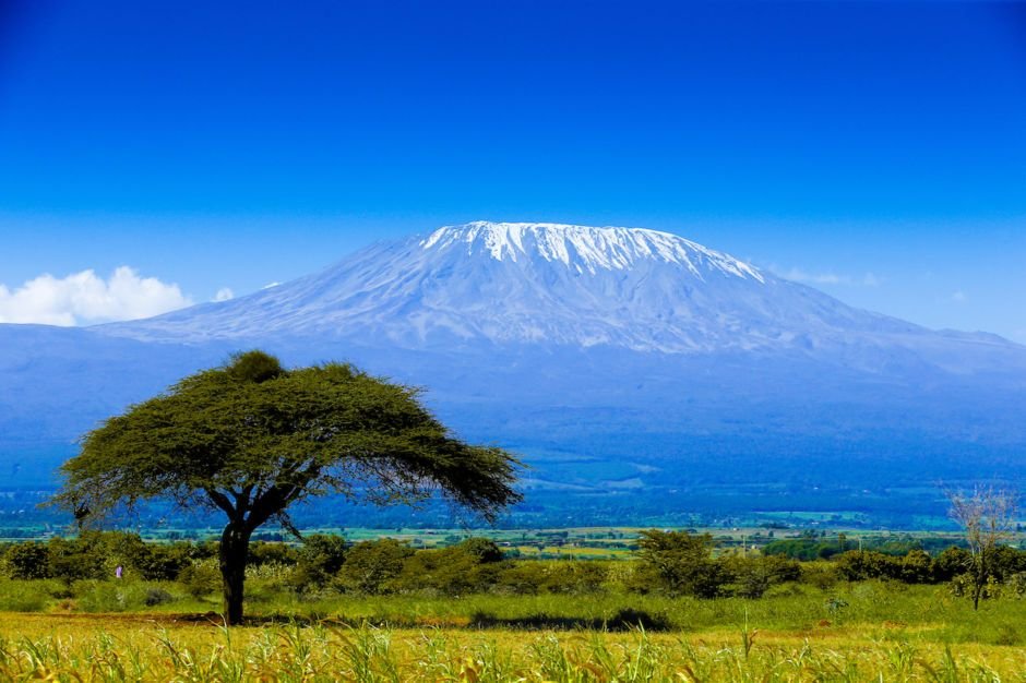 Parc National Du Kilimandjaro