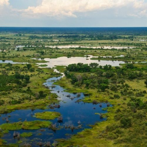 Delta de l’Okavango