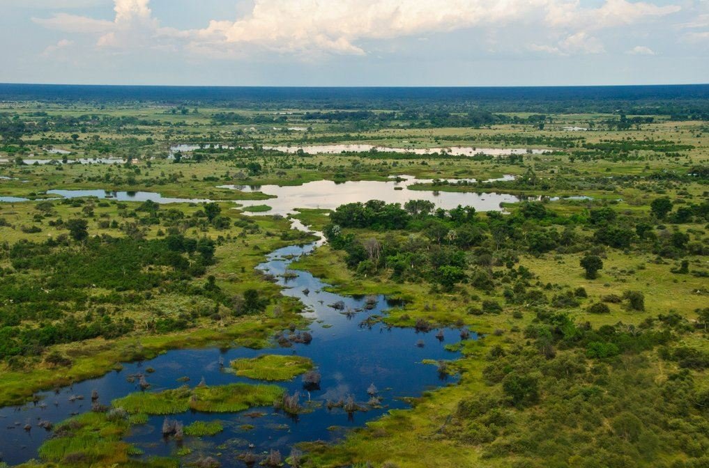 Delta De L’Okavango