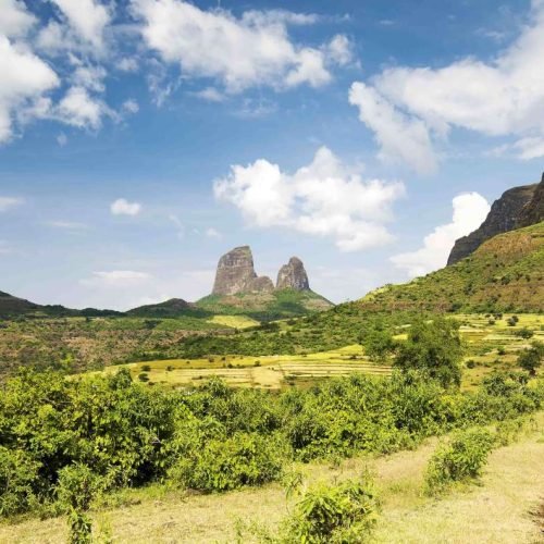 Parc National Du Simien