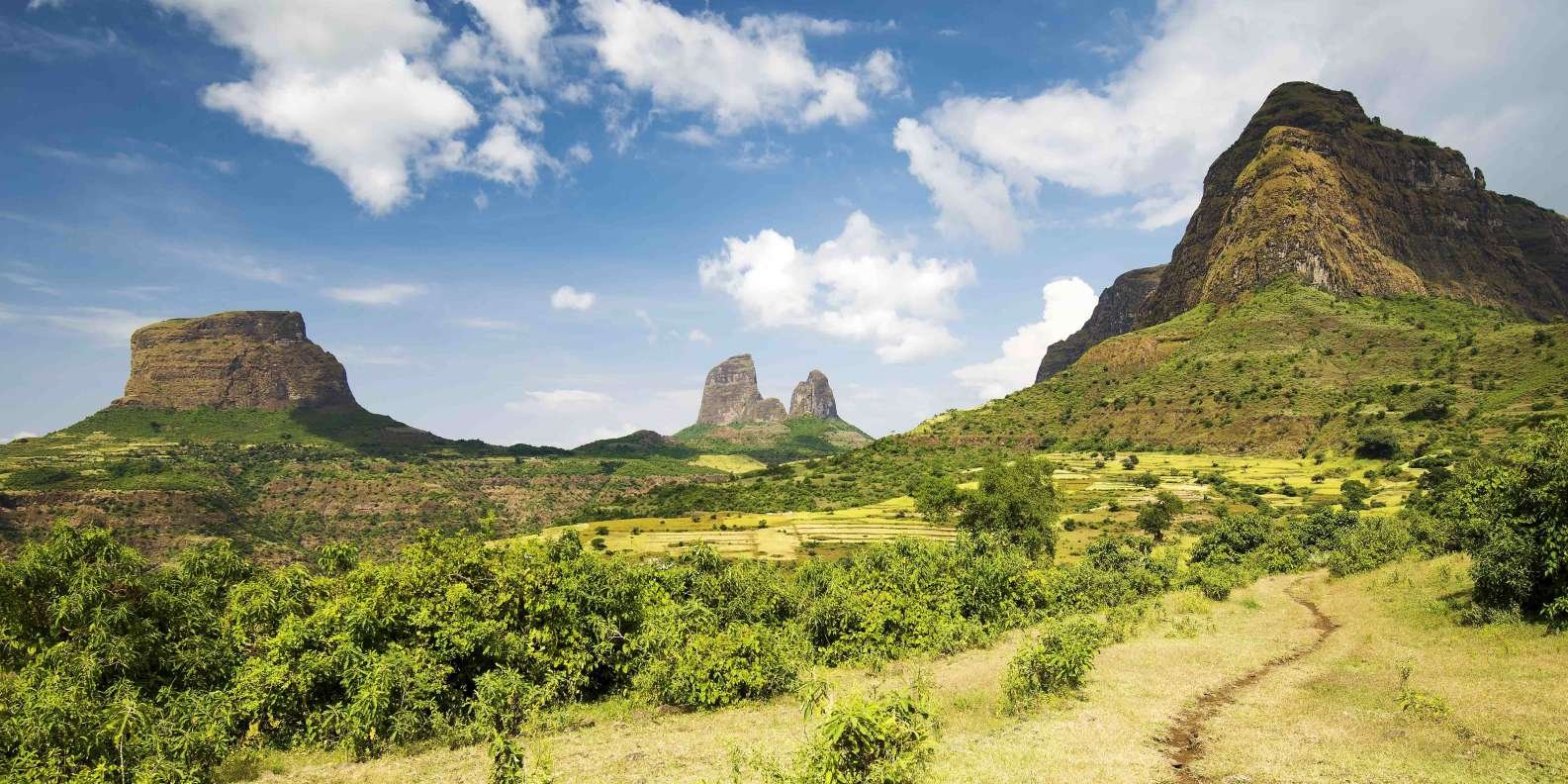 Parc National Du Simien