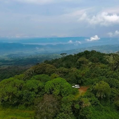 Parc National De Kahuzi-Biega