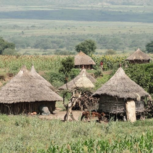 Paysage culturel du pays konso