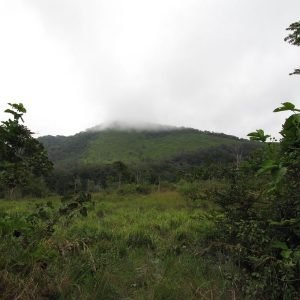 La-lopé-gabon