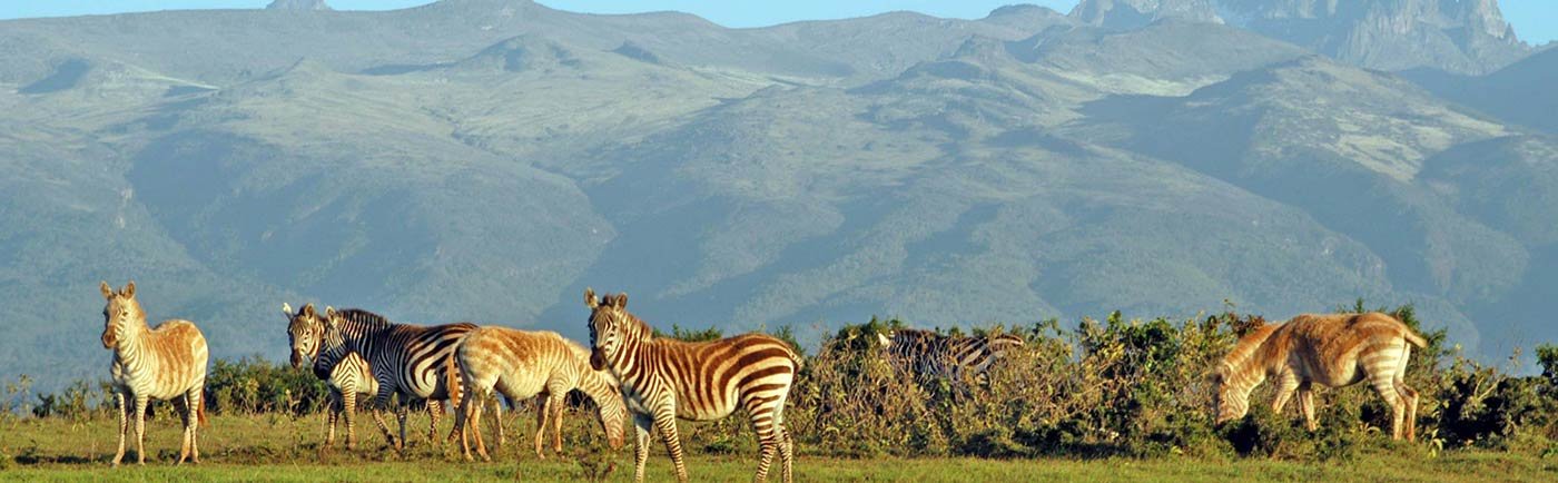 Parc National Du Mont Kenya