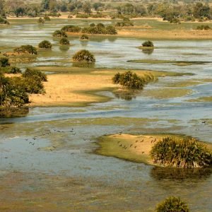 Okavango-wilderness-Mike-Myers-1200x614