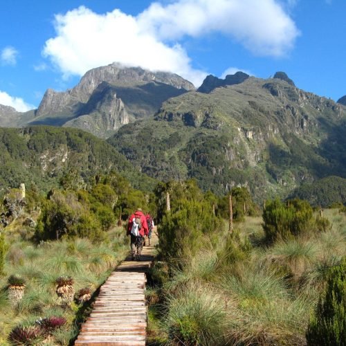 Monts Rwenzori