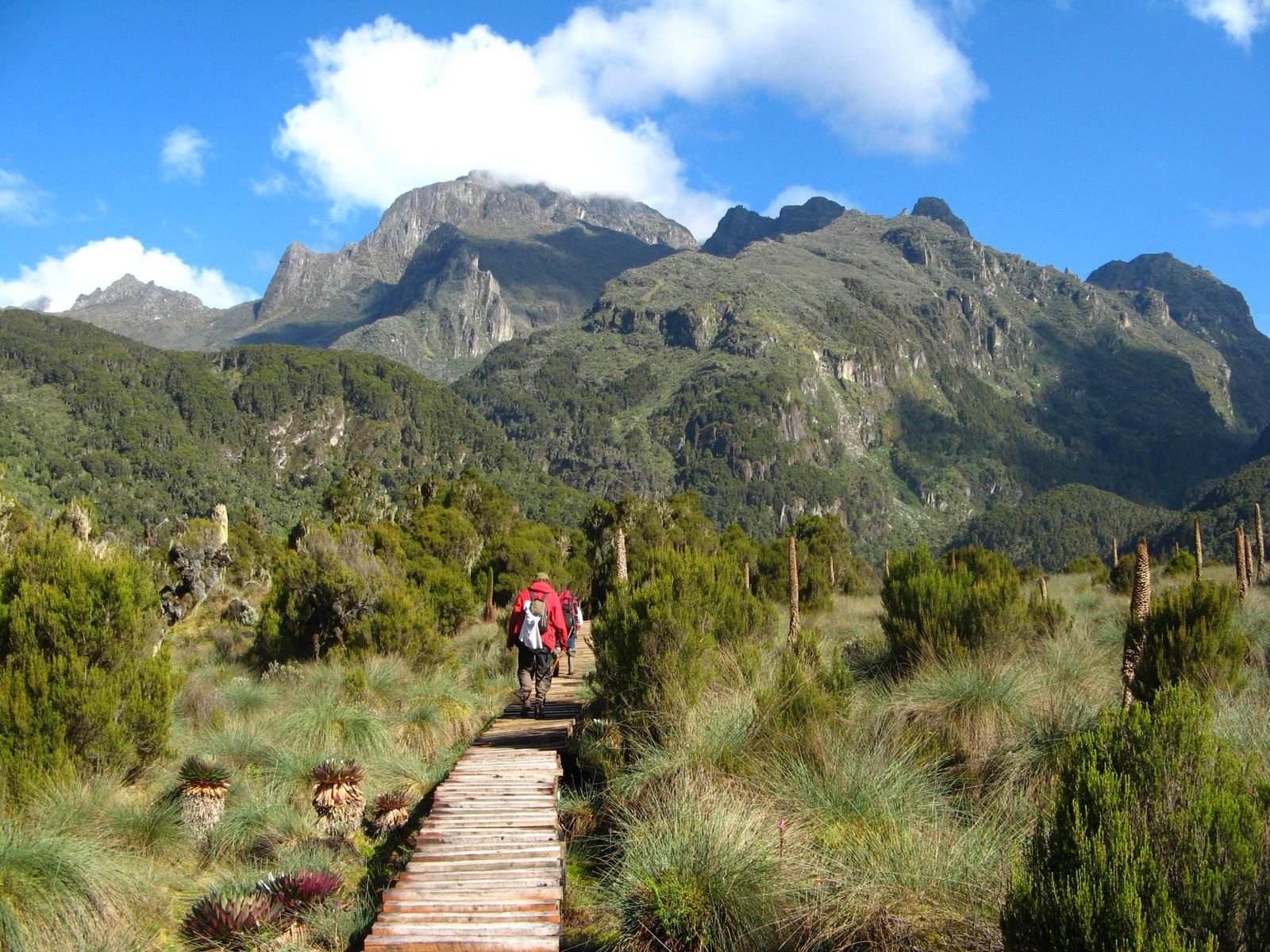 Monts Rwenzori