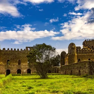 fasil-ghebbi-gondar-ethiopia-gonder-royal-enclosure-palace-iyasu-i-fasilides-castle-gemb-unesco-world-heritage-list-130209710