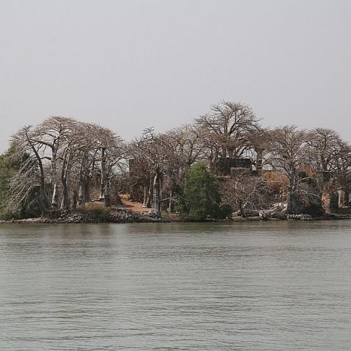 Île Kunta Kinteh