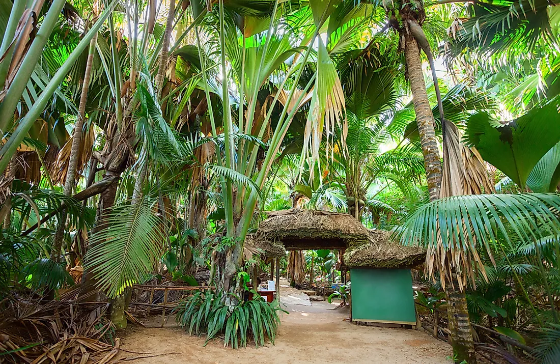 Réserve Naturelle De La Vallée De Mai