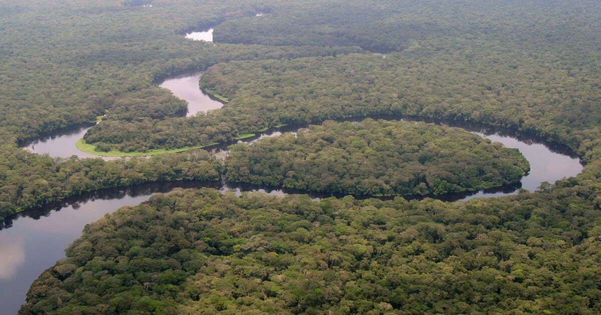 Parc National De La Salonga