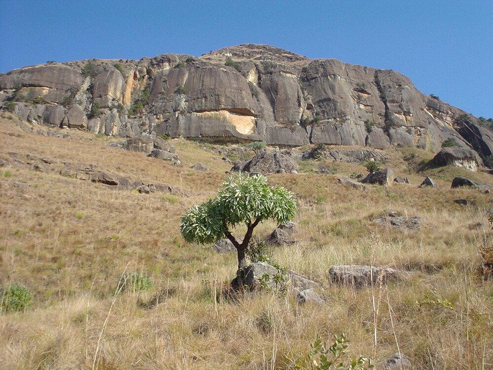 Parc Maloti-Drakensberg